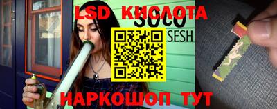 ECSTASY Новозыбков