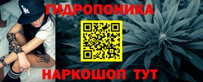 ECSTASY Новозыбков