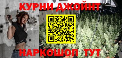 ECSTASY Новозыбков