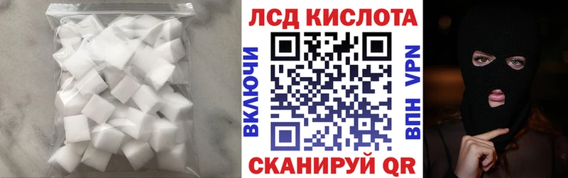 как найти наркотики  Шебекино  LSD-25 экстази кислота 
