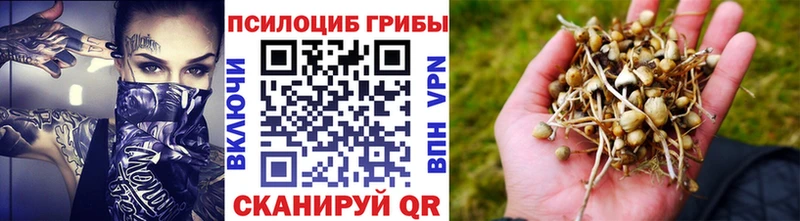 цена   Шебекино  Галлюциногенные грибы мухоморы 