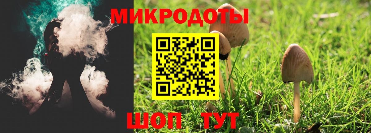 Шебекино  Псилоцибиновые грибы MAGIC MUSHROOMS  Галлюциногенные грибы GOLDEN TEACHER  Вход с VPN 